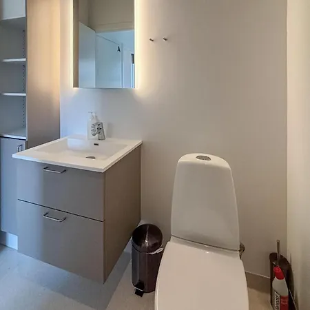 Przytulne Mieszkanie W Z Krytym Basenem Apartament Vejen